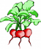 daisygrubber