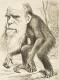 Darwin.