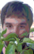 Mysterious Gardener