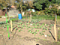 Sophia-Bubble
