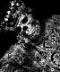 Richard Eldritch