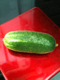 Green Gerkin