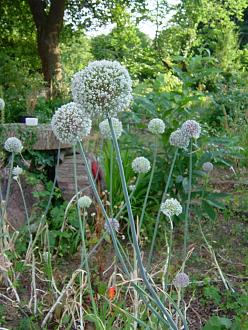 Click image for larger version

Name:	DSCF9850.jpg
Views:	1
Size:	153.2 KB
ID:	2379376