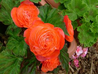 Click image for larger version

Name:	DSCF0001.jpg
Views:	1
Size:	85.4 KB
ID:	2380090