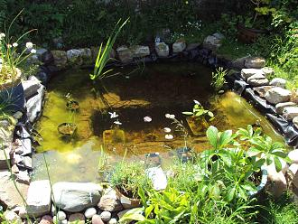 Click image for larger version

Name:	DSC02739.JPG
Views:	426
Size:	1.14 MB
ID:	2500689