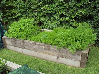 Click image for larger version

Name:	DSC02748.JPG
Views:	337
Size:	1.20 MB
ID:	2502575