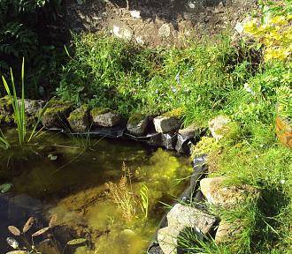 Click image for larger version

Name:	DSC02764.JPG
Views:	449
Size:	1.22 MB
ID:	2505447