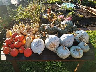 Click image for larger version

Name:	IMG_20201104_091937_compress39.jpg
Views:	222
Size:	880.6 KB
ID:	2511481