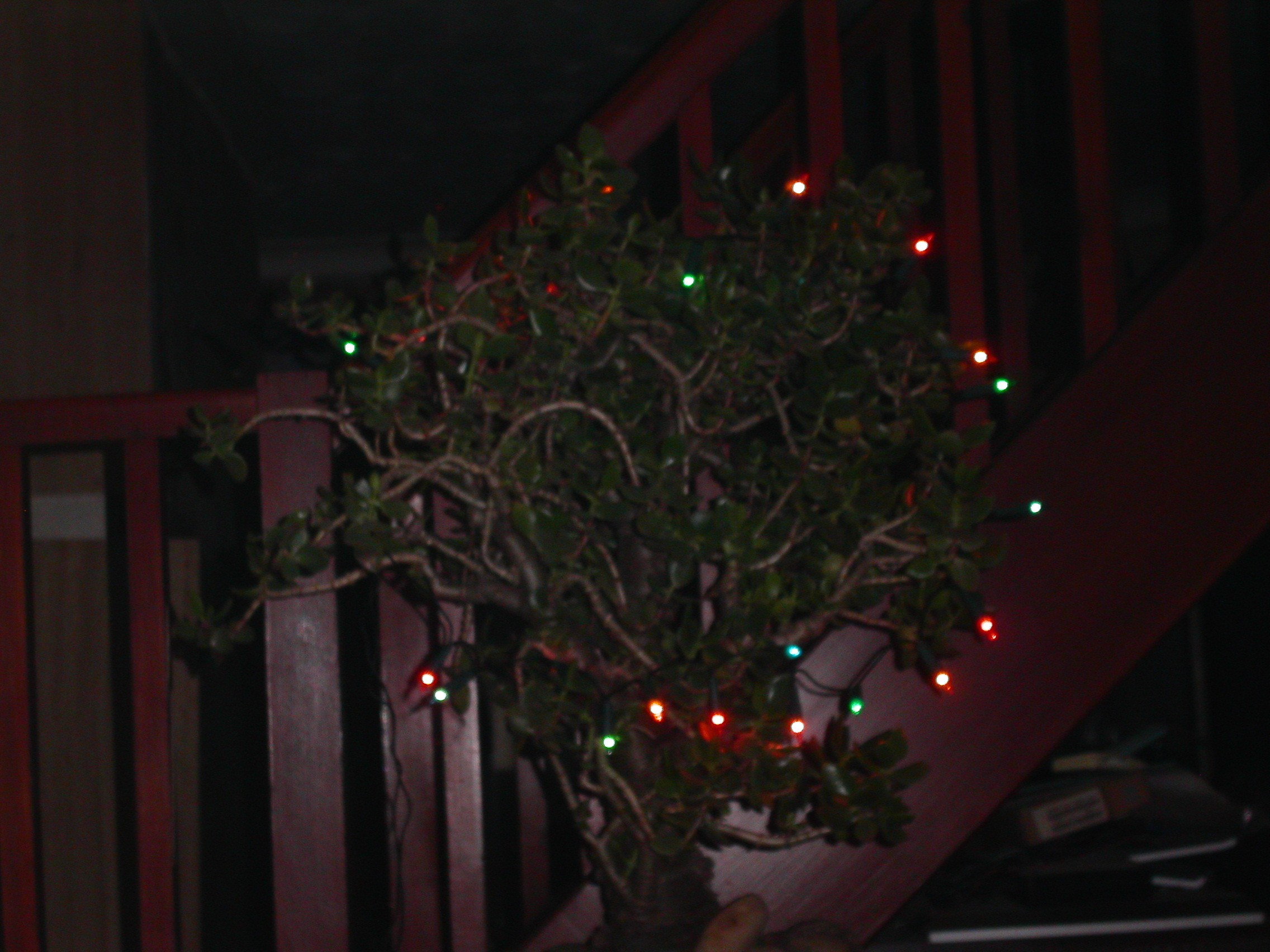 Click image for larger version

Name:	PICT0017.JPG
Views:	128
Size:	586.0 KB
ID:	2513232