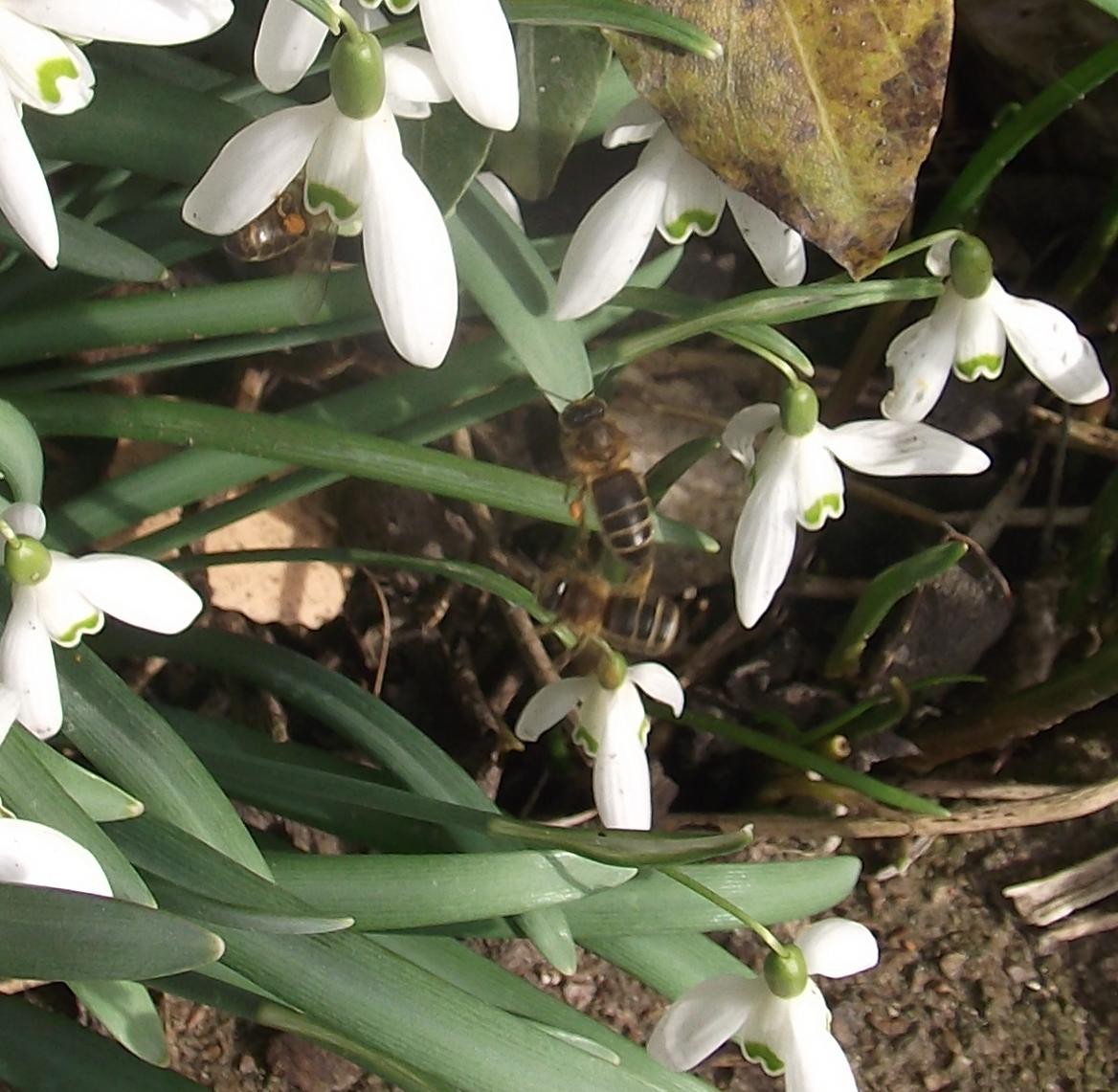 Click image for larger version

Name:	DSCF5004E.jpg
Views:	94
Size:	213.2 KB
ID:	2516926