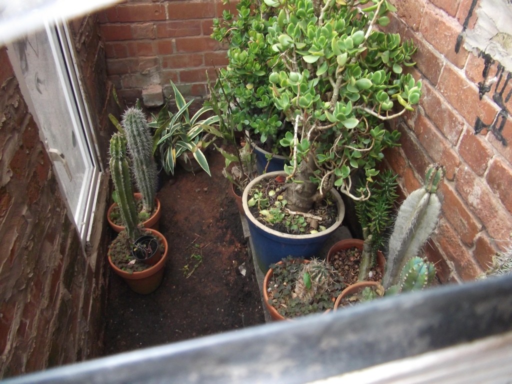 Click image for larger version

Name:	DSCF3574.JPG
Views:	213
Size:	226.0 KB
ID:	2519073