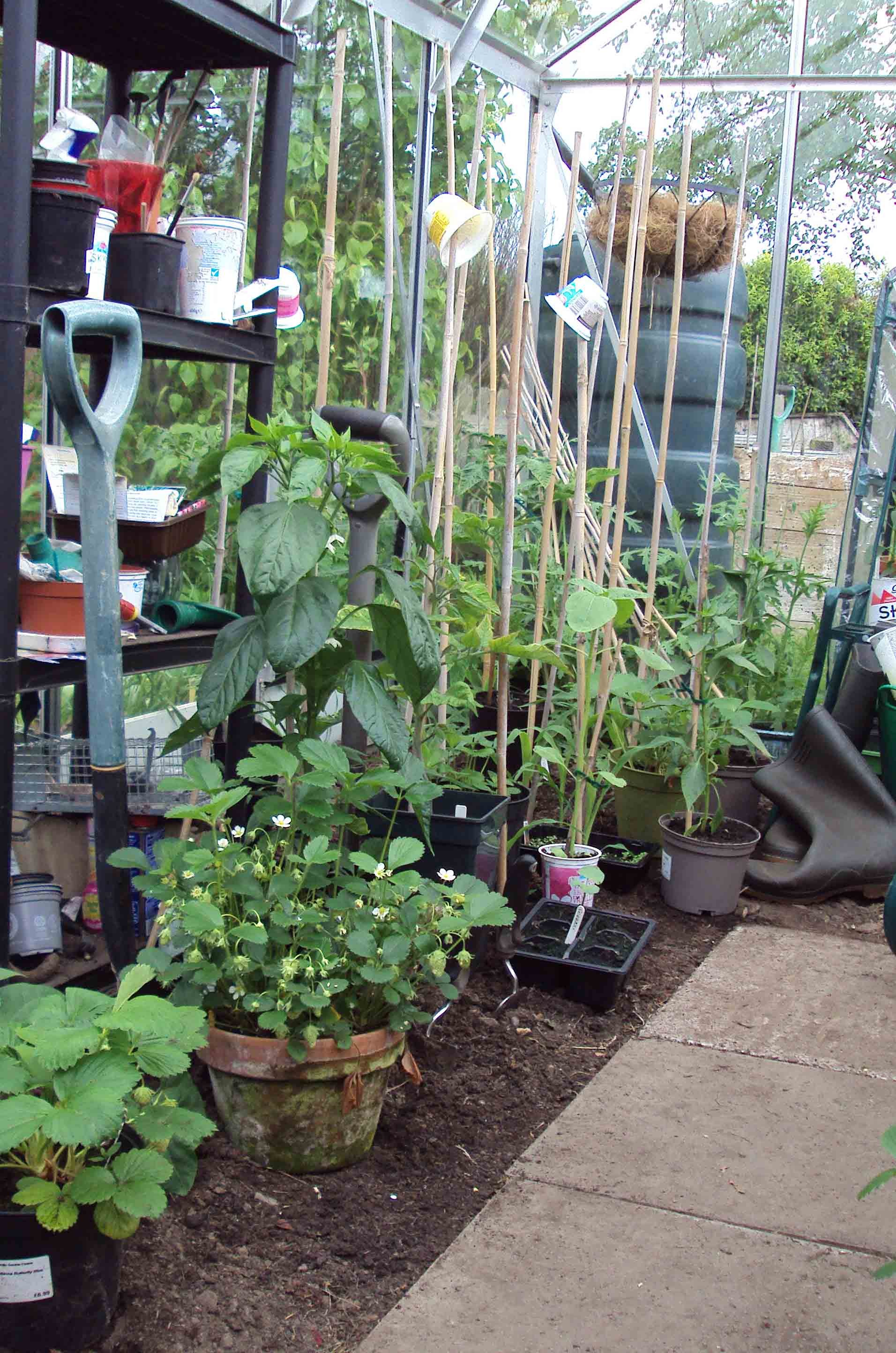 Click image for larger version

Name:	DSC02835.JPG
Views:	274
Size:	765.0 KB
ID:	2525945
