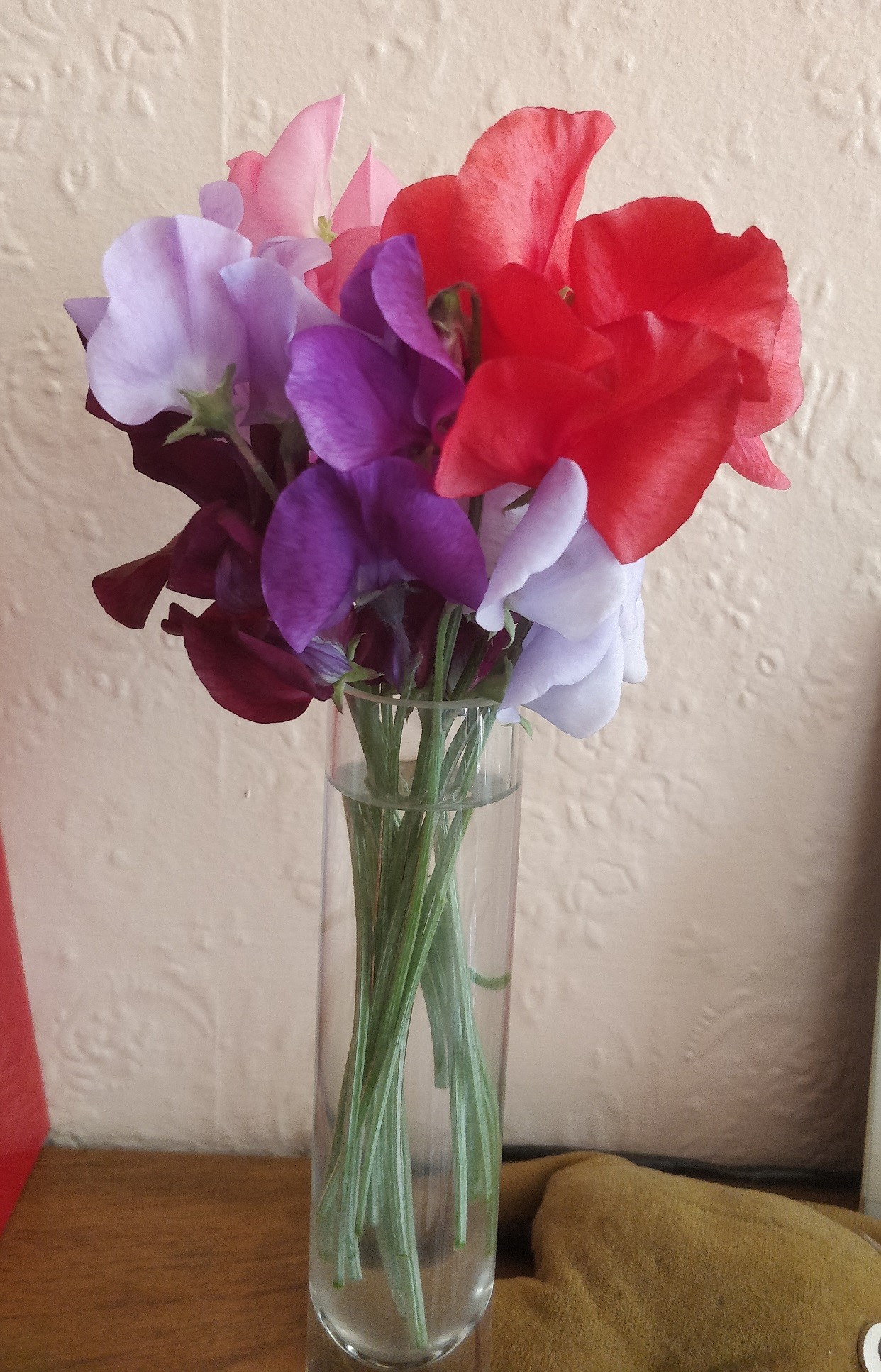 Click image for larger version

Name:	IMG_20210618_093831 sweet peas.jpg
Views:	202
Size:	561.5 KB
ID:	2527677