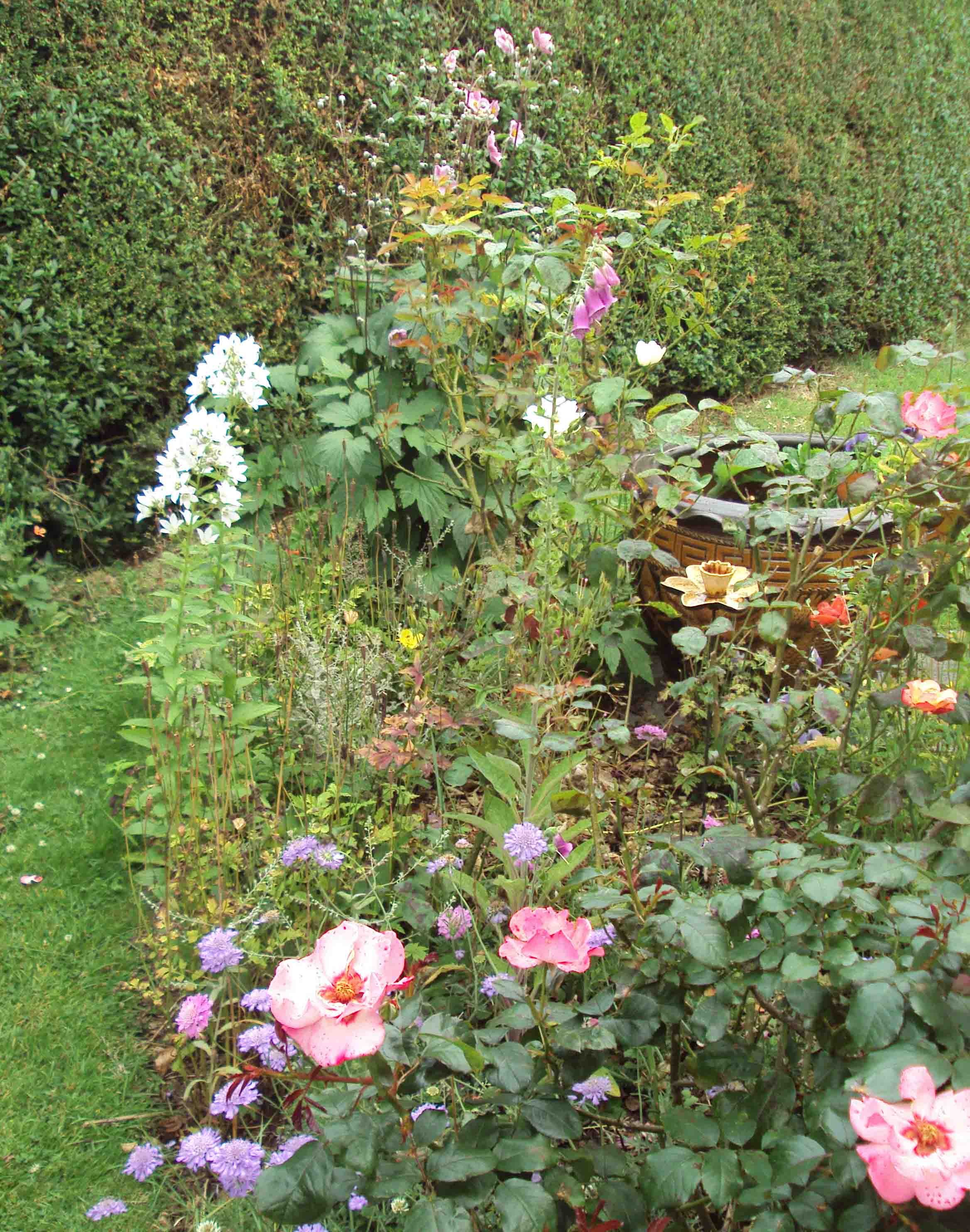 Click image for larger version

Name:	DSC02862.JPG
Views:	194
Size:	1.02 MB
ID:	2530101