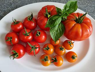 Click image for larger version

Name:	Toms.jpg
Views:	294
Size:	334.6 KB
ID:	2532254