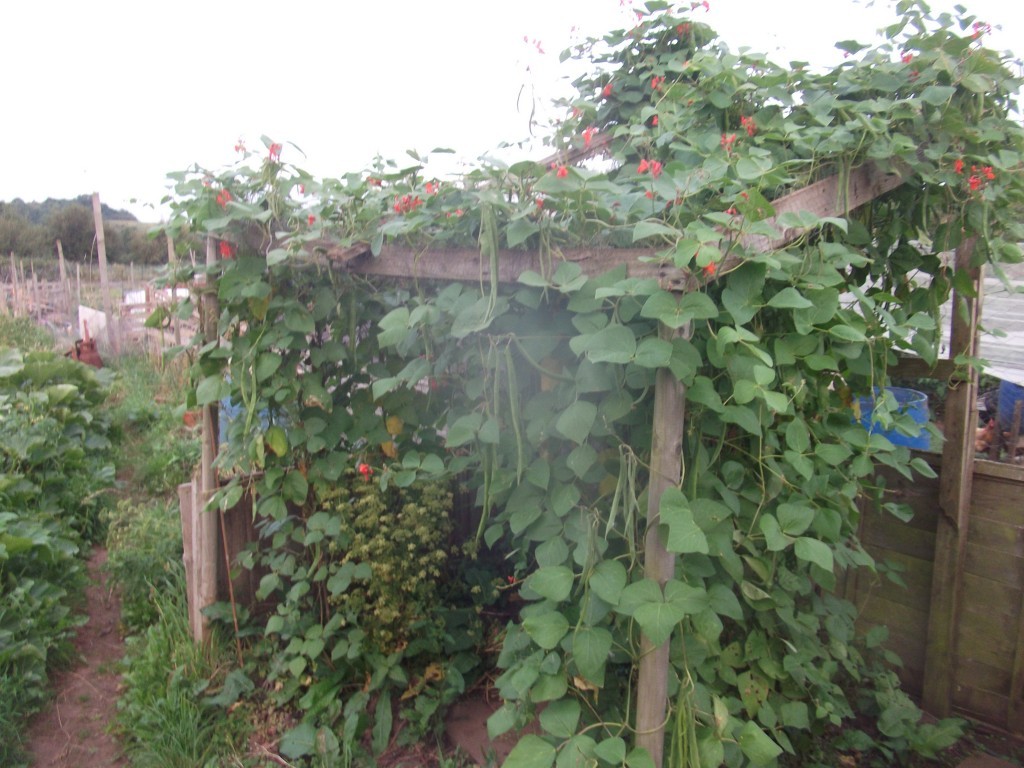 Click image for larger version

Name:	DSCF7118.JPG
Views:	211
Size:	195.4 KB
ID:	2533785