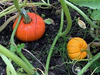 Click image for larger version

Name:	IMG_2032.jpg
Views:	224
Size:	889.5 KB
ID:	2534011