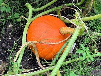 Click image for larger version

Name:	IMG_2031.jpg
Views:	224
Size:	993.0 KB
ID:	2534012