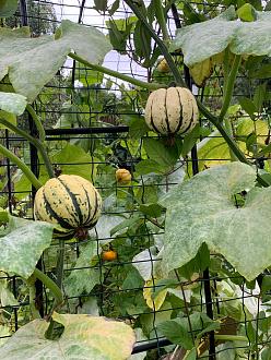 Click image for larger version

Name:	IMG_2034.jpg
Views:	212
Size:	926.7 KB
ID:	2534013