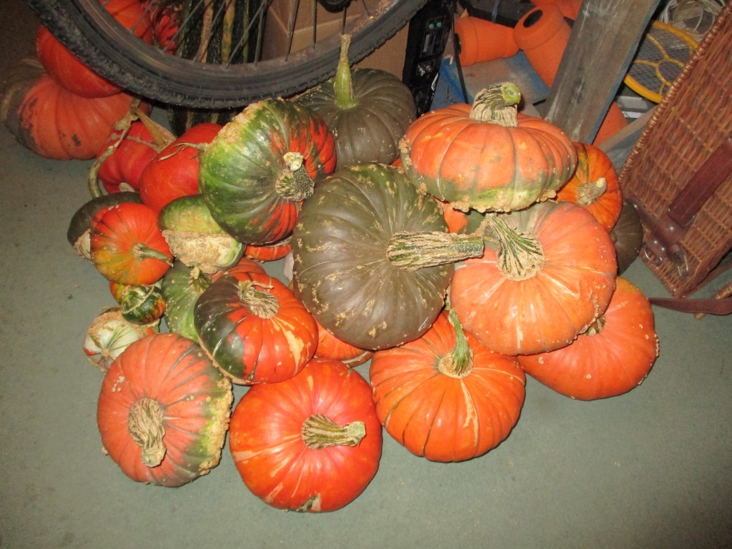 Click image for larger version

Name:	IMG_1873.JPG
Views:	114
Size:	197.7 KB
ID:	2535449