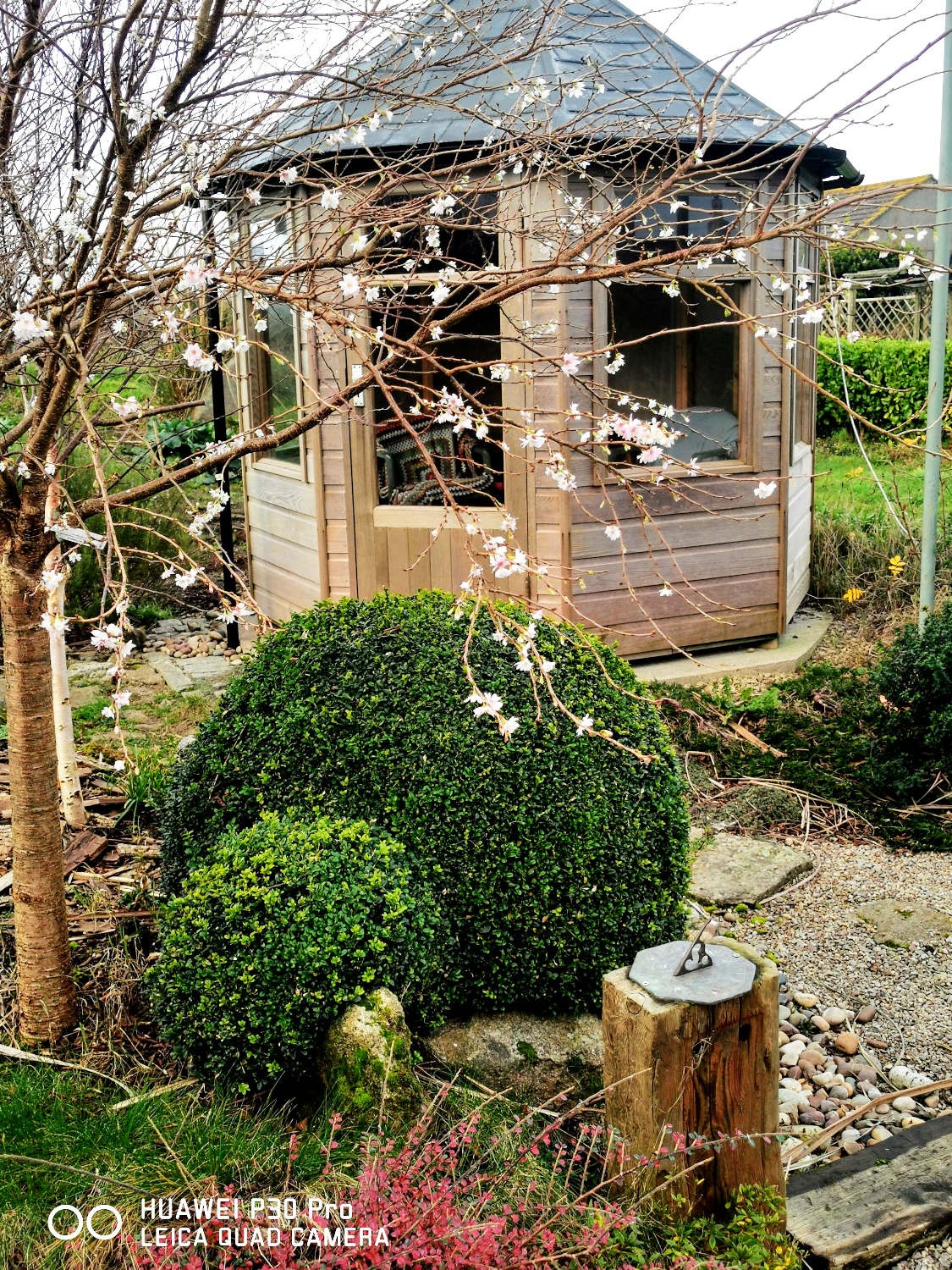 Click image for larger version

Name:	blossom.jpg
Views:	117
Size:	908.4 KB
ID:	2538410