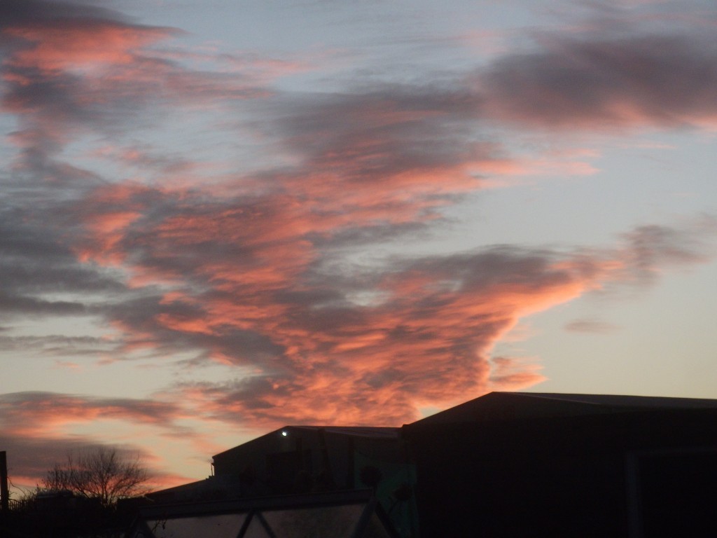 Click image for larger version

Name:	DSCF7377R.jpg
Views:	174
Size:	99.9 KB
ID:	2539554