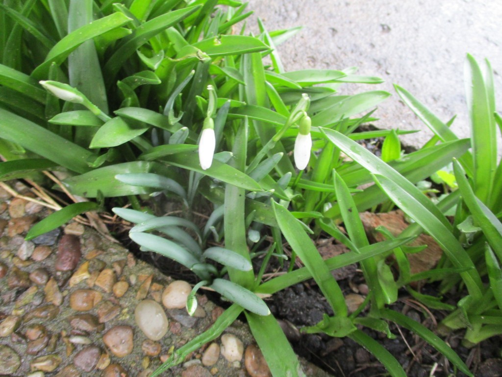 Click image for larger version

Name:	IMG_2069.JPG
Views:	220
Size:	187.5 KB
ID:	2540842