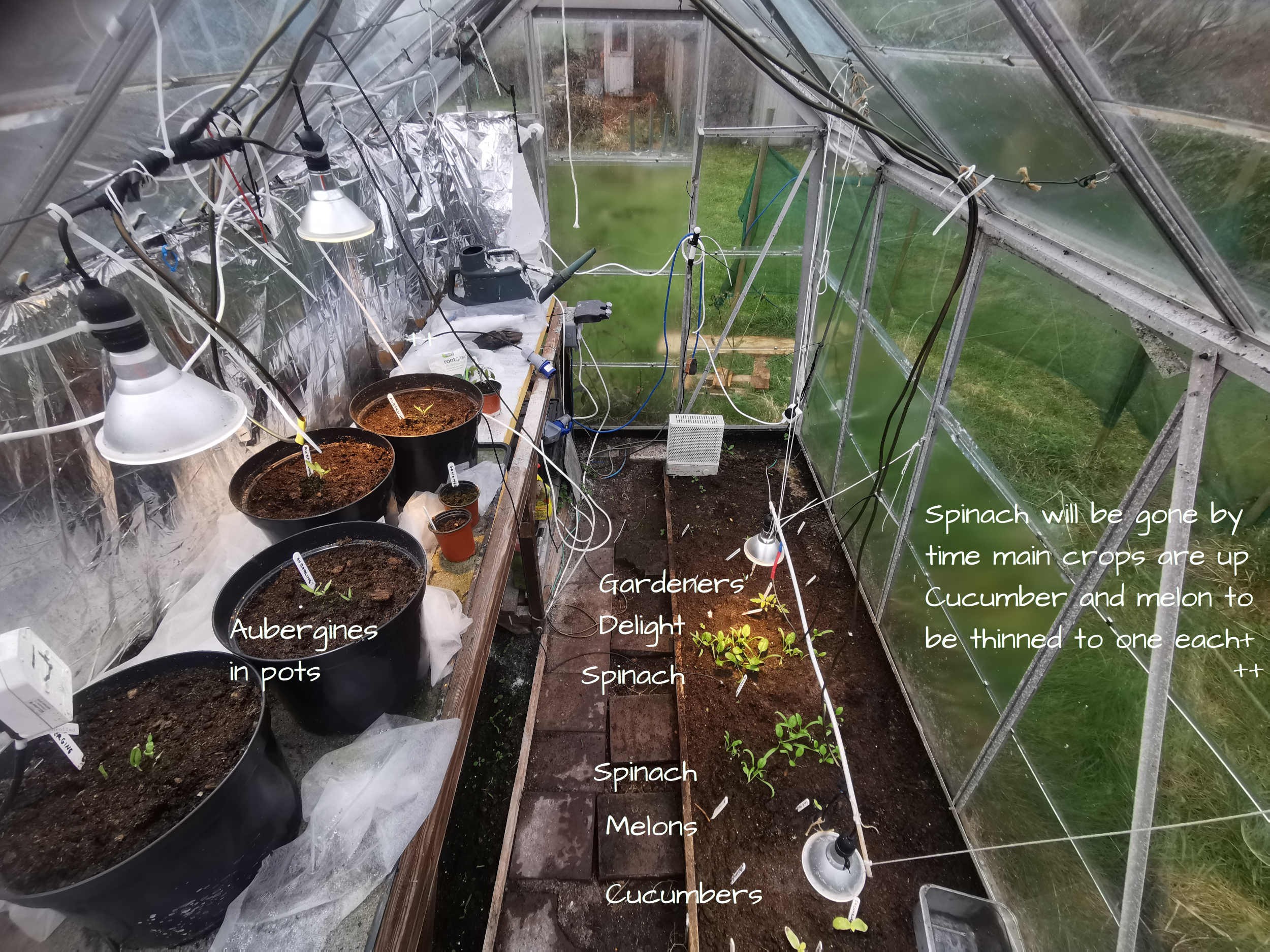 Click image for larger version

Name:	greenhouseMidFeb.jpg
Views:	318
Size:	991.1 KB
ID:	2541540