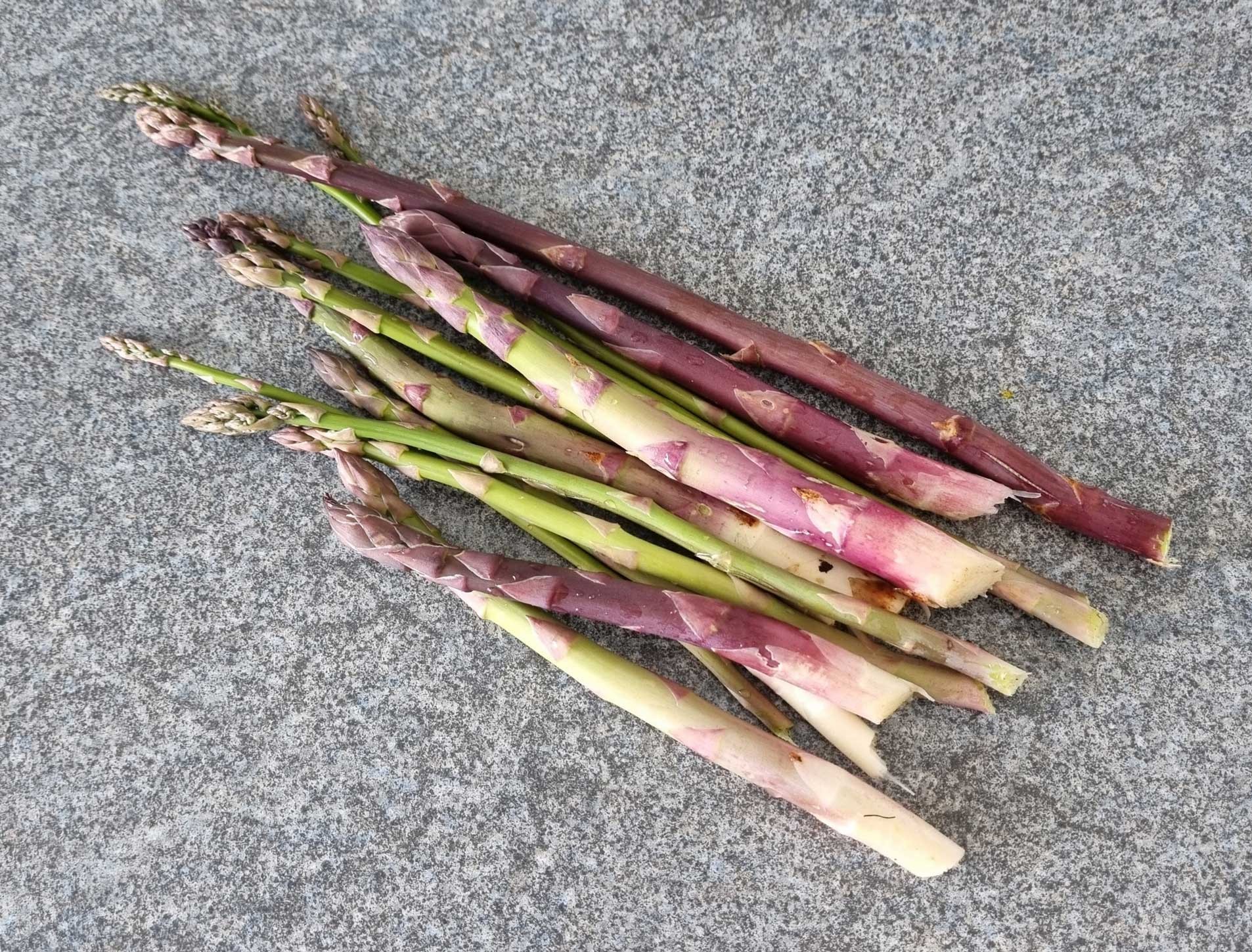 Click image for larger version

Name:	Asparagus.jpg
Views:	130
Size:	959.1 KB
ID:	2544427