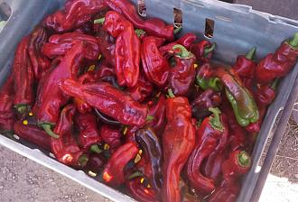 Click image for larger version

Name:	Italianos.jpg
Views:	222
Size:	844.8 KB
ID:	2552378