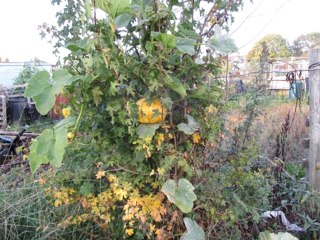 Click image for larger version

Name:	IMG_2889.JPG
Views:	114
Size:	327.8 KB
ID:	2553058