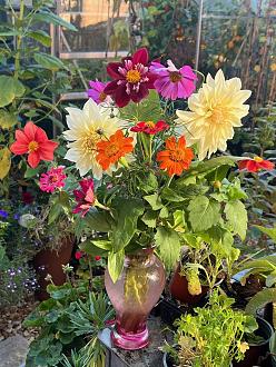 Click image for larger version

Name:	Pnut-Flowers.jpg
Views:	239
Size:	424.2 KB
ID:	2553143