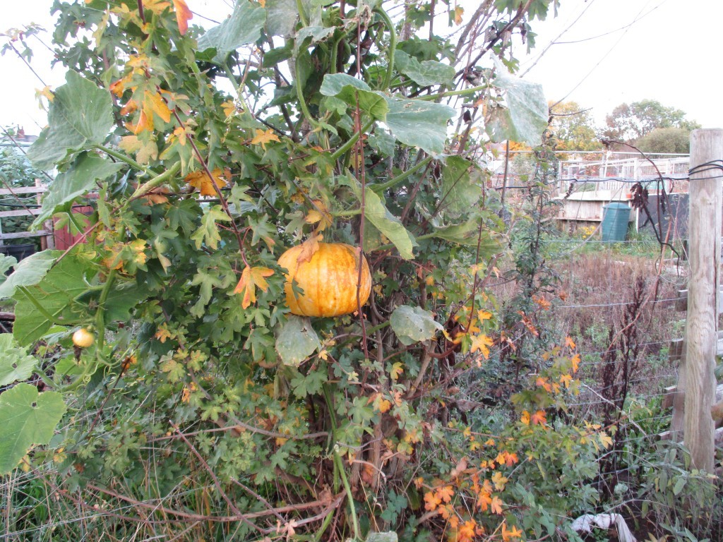 Click image for larger version

Name:	IMG_2941.JPG
Views:	155
Size:	318.3 KB
ID:	2553445