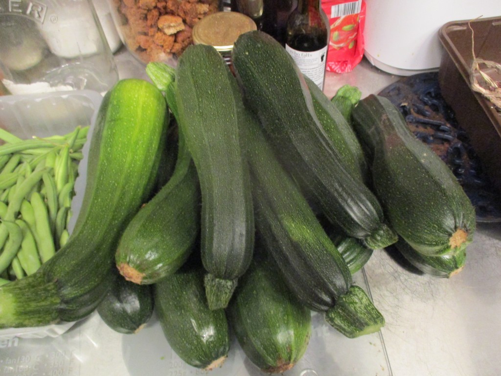 Click image for larger version

Name:	IMG_3915R.jpg
Views:	150
Size:	176.8 KB
ID:	2568348