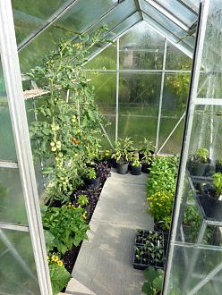 Click image for larger version  Name:	greenhousejuly.jpg Views:	0 Size:	130.7 KB ID:	2574834
