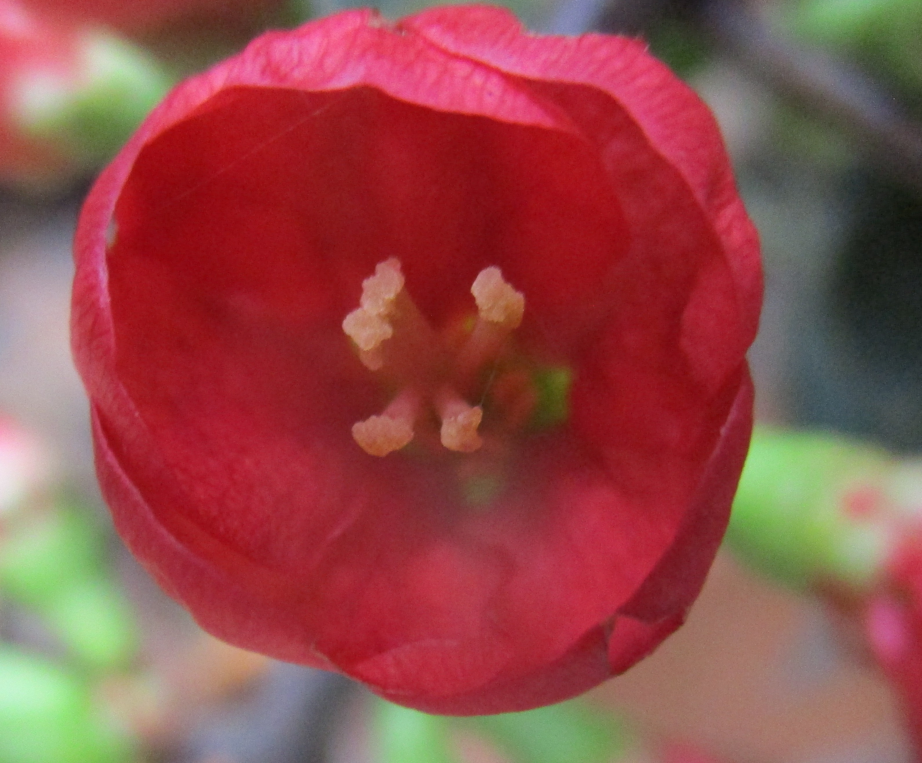 Click image for larger version

Name:	IMG_0046C.jpg
Views:	70
Size:	1.44 MB
ID:	2575533