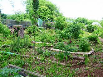 Click image for larger version

Name:	DSCF9678.jpg
Views:	1
Size:	234.6 KB
ID:	2380782