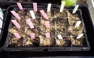 Click image for larger version

Name:	100_0194.JPG
Views:	1
Size:	196.9 KB
ID:	2407232