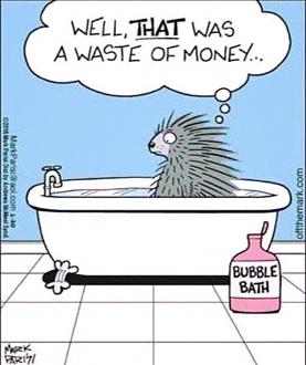 Click image for larger version

Name:	porcupine.jpg
Views:	1
Size:	55.7 KB
ID:	2381503