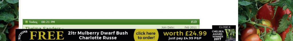 Click image for larger version

Name:	advert.jpg
Views:	1
Size:	24.3 KB
ID:	2385759