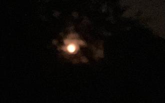 Click image for larger version

Name:	IMG_4710.jpeg
Views:	149
Size:	127.9 KB
ID:	2582245