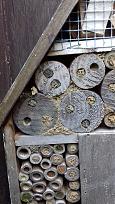 Click image for larger version

Name:	insecthotel2.jpg
Views:	2130
Size:	808.1 KB
ID:	2582585