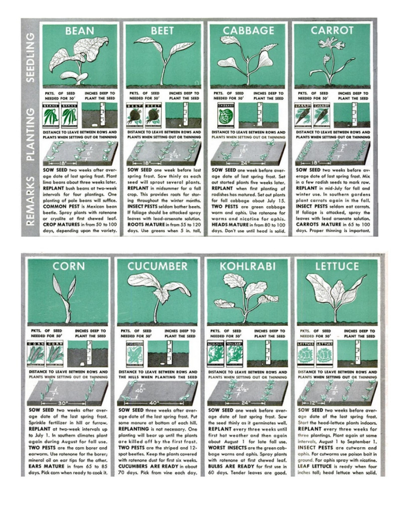 Click image for larger version

Name:	veg deph 1.jpg
Views:	151
Size:	291.9 KB
ID:	2591624