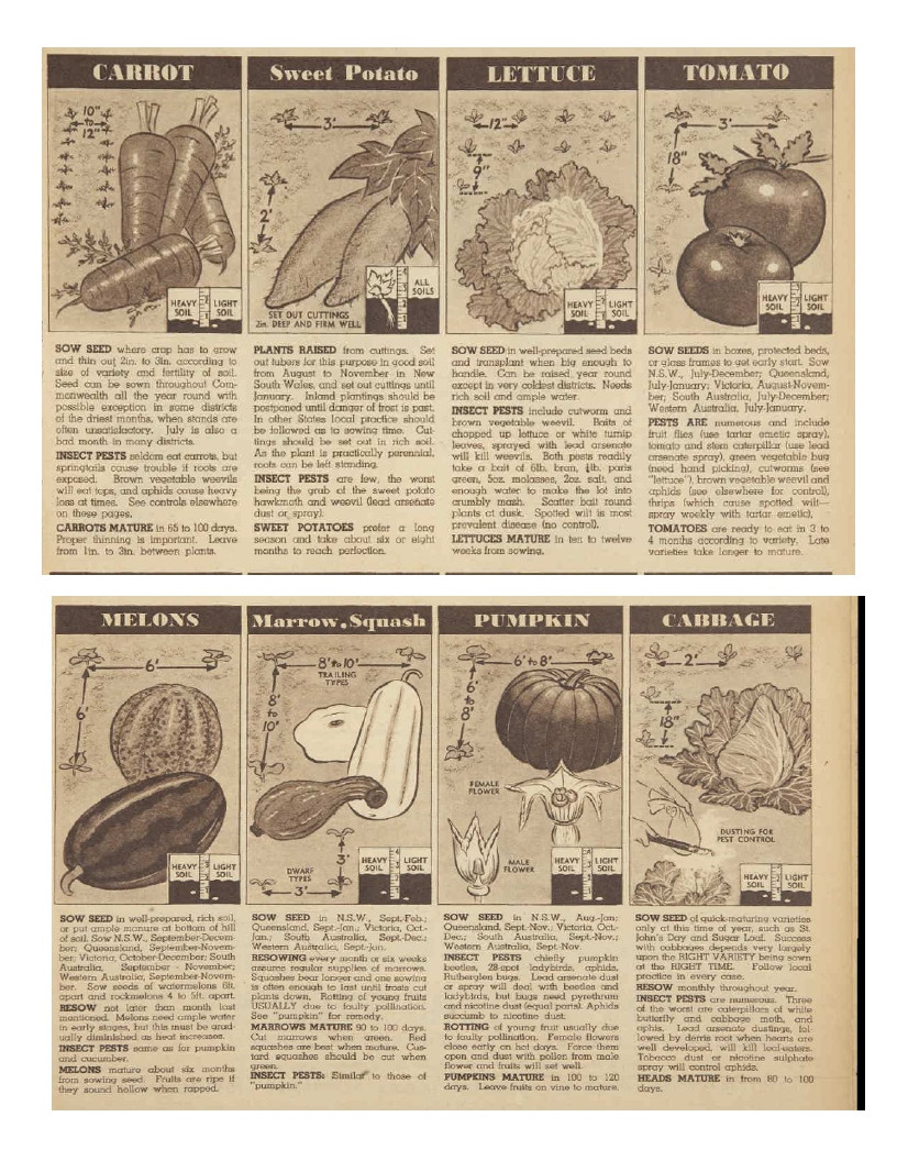 Click image for larger version

Name:	veg deph 4.jpg
Views:	131
Size:	308.8 KB
ID:	2591635