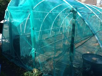 Click image for larger version

Name:	new tunnel cover 004.JPG
Views:	87
Size:	1.36 MB
ID:	2595233