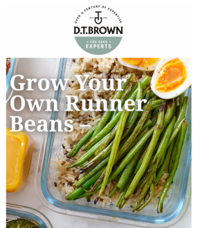 Click image for larger version

Name:	DT brown.png
Views:	202
Size:	797.7 KB
ID:	2597990