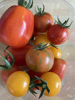 Click image for larger version

Name:	IMG_1575.jpeg
Views:	78
Size:	719.7 KB
ID:	2603371