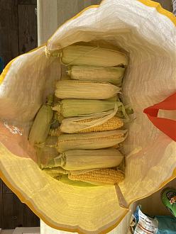 Click image for larger version

Name:	IMG_1614.jpeg
Views:	131
Size:	798.4 KB
ID:	2604171