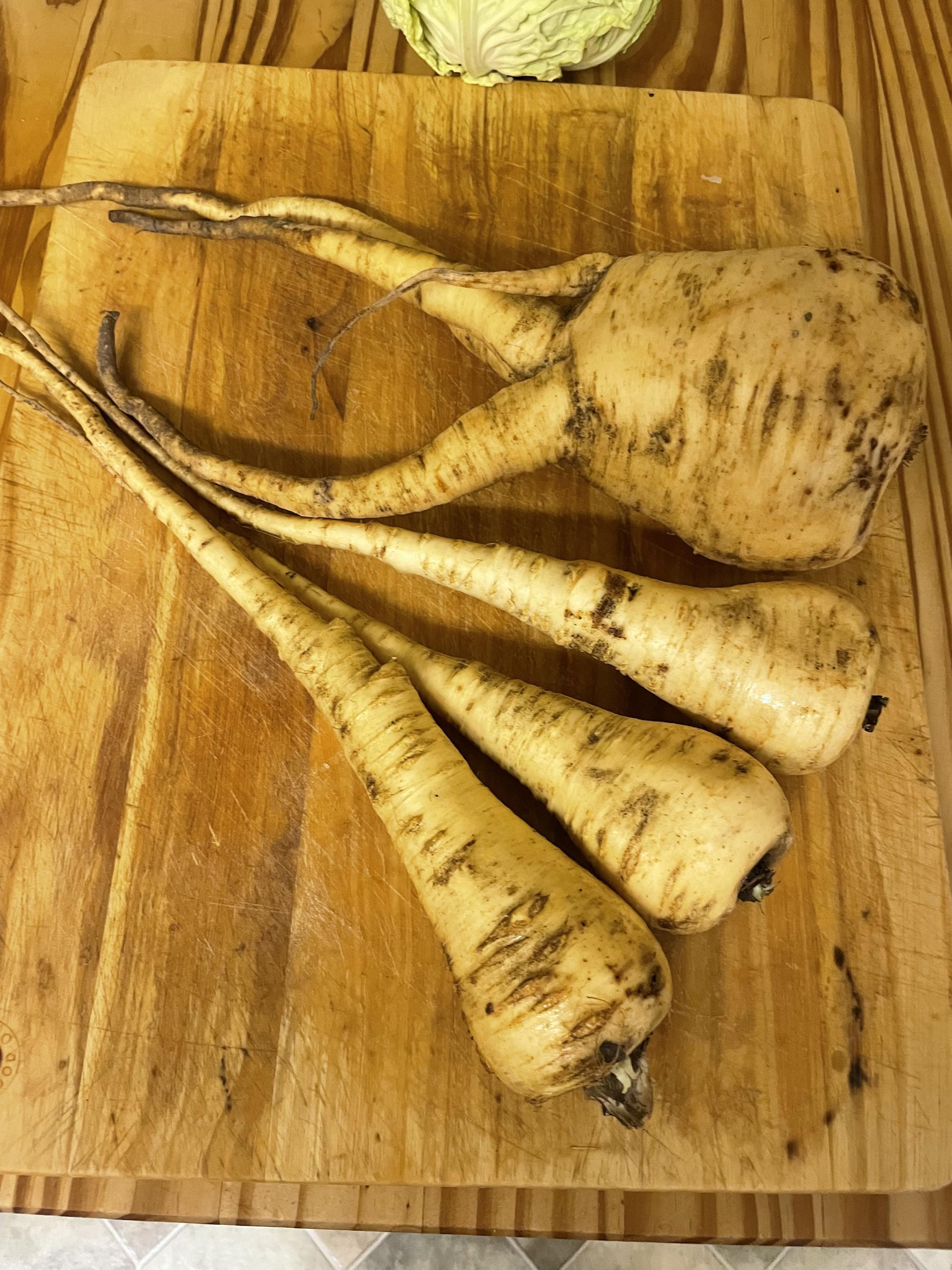 Click image for larger version  Name:	parsnip.jpeg Views:	0 Size:	921.4 KB ID:	2609699