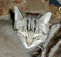 Click image for larger version

Name:	P8260024_edited.JPG
Views:	315
Size:	18.8 KB
ID:	2317827